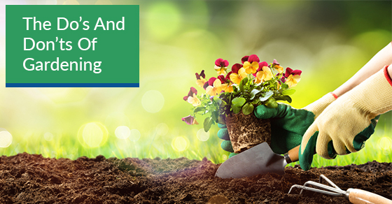 8 Gardening Do #39 s And Don #39 ts Essential Disposal