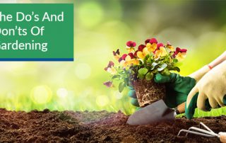 The Do’s And Don’ts Of Gardening