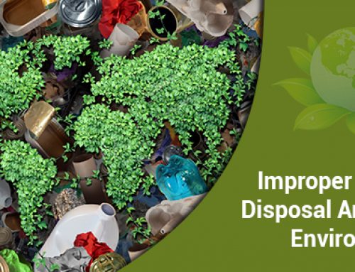 The Environmental Impact Of Improper Waste Disposal